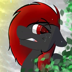 Size: 1640x1640 | Tagged: safe, artist:dicemarensfw, derpibooru import, oc, oc:dicemare, pegasus, pony, black and red hair, ears, eyelashes, female, floppy ears, long hair, mare, mouth, photo, rain, red and black mane, solo, teeth, wings