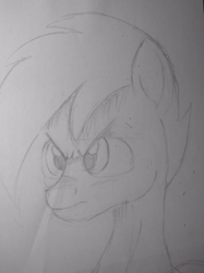 Size: 472x630 | Tagged: safe, artist:esdras, derpibooru import, oc, oc:shadowing, pegasus, pony, angry, black and white, grayscale, incomplete, mane, monochrome, solo, wip