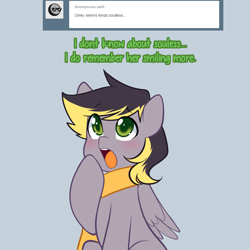 Size: 900x900 | Tagged: safe, artist:senseidezzy, ponerpics import, oc, oc only, oc:aero, pegasus, pony, aero replies, ask, clothes, colt, deleted from derpibooru, dialogue, male, offspring, open mouth, parent:derpy hooves, parent:oc:warden, parents:canon x oc, parents:warderp, scarf, simple background, solo, tumblr