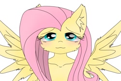 Size: 768x517 | Tagged: safe, artist:namaenonaipony, derpibooru import, fluttershy, pegasus, pony, blushing, cute, shyabetes, solo