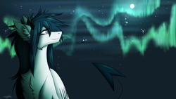 Size: 1920x1080 | Tagged: safe, artist:emalajissda, derpibooru import, oc, oc only, pegasus, pony, aurora borealis, chest fluff, ear fluff, ears, full moon, moon, night, pegasus oc, smiling, stars, wings