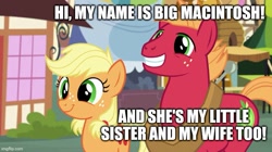 Size: 739x415 | Tagged: safe, derpibooru import, edit, edited screencap, screencap, applejack, big macintosh, earth pony, pony, where the apple lies, applecest, applemac, female, incest, male, shipping, straight, text