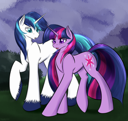 Size: 2520x2380 | Tagged: safe, artist:renarde-louve, derpibooru import, shining armor, twilight sparkle, unicorn twilight, pony, unicorn, brother and sister, duo, female, male, siblings