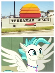 Size: 3106x4096 | Tagged: safe, derpibooru import, terramar, hippogriff, galveston, namesake, pun, texas, visual pun