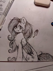 Size: 1024x1366 | Tagged: safe, artist:nightydream, derpibooru import, fluttershy, pegasus, pony, black and white, eraser, grayscale, monochrome, pen, solo, traditional art