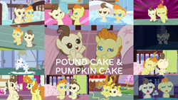 Size: 1968x1109 | Tagged: safe, derpibooru import, edit, edited screencap, editor:quoterific, screencap, pound cake, pumpkin cake, 28 pranks later, a flurry of emotions, a friend in deed, baby cakes, it isn't the mane thing about you, on your marks, the last problem, older
