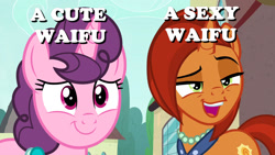 Size: 1280x720 | Tagged: safe, derpibooru import, stellar flare, sugar belle, pony, caption, image macro, text, waifu