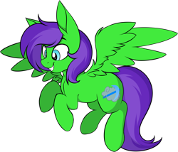 Size: 1052x900 | Tagged: safe, artist:notetaker, derpibooru import, oc, oc only, oc:raulix evergreen, pegasus, pony, 2021 community collab, derpibooru community collaboration, green body, grin, gritted teeth, male, purple hair, simple background, smiling, solo, transparent background, wings