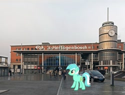 Size: 1008x764 | Tagged: safe, derpibooru import, lyra heartstrings, pony, 's-hertogenbosch, irl, netherlands, north brabant, photo, ponies in real life