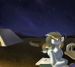 Size: 1280x1139 | Tagged: safe, artist:tigra0118, derpibooru import, oc, oc only, pegasus, pony, book, digital art, female, night, solo, stars, tent