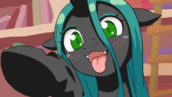Size: 960x540 | Tagged: safe, artist:siagia, derpibooru import, edit, queen chrysalis, changeling, changeling queen, adorable face, animated at source, blushing, cel shading, cute, cute little fangs, cutealis, ears, fangs, featured image, female, floppy ears, imminent boop, library, looking at you, open mouth, raised hoof, shading, silly, silly changeling, smiling, solo, tongue out, underhoof