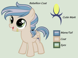 Size: 1280x956 | Tagged: safe, artist:lominicinfinity, derpibooru import, oc, oc:rebellion coat, pegasus, pony, colt, male, reference sheet, simple background, solo