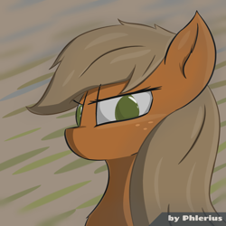 Size: 2200x2200 | Tagged: safe, artist:phlerius, derpibooru import, applejack, earth pony, pony, digital art, my little pony, solo