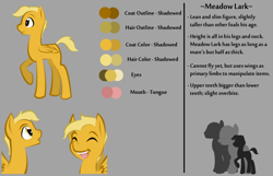 Size: 1280x823 | Tagged: safe, artist:askmerriweatherauthor, derpibooru import, oc, oc:meadow lark (ask merriweather), pegasus, pony, ask merriweather, colt, male, reference sheet, solo