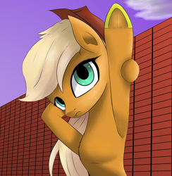 Size: 1854x1900 | Tagged: safe, artist:guatergau5, derpibooru import, applejack, earth pony, pony, applejack's hat, cowboy hat, hat