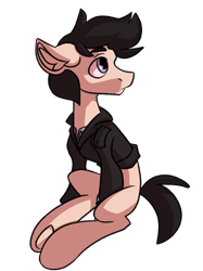 Size: 2399x3203 | Tagged: safe, artist:dodsie, derpibooru import, oc, oc only, oc:lancer, pony, 2021 community collab, derpibooru community collaboration, simple background, sitting, solo, transparent background