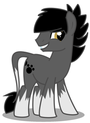 Size: 829x1127 | Tagged: safe, artist:amgiwolf, derpibooru import, oc, oc only, earth pony, pony, coat markings, earth pony oc, grin, looking back, male, paw prints, simple background, smiling, socks (coat marking), stallion, transparent background