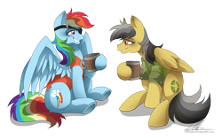 Size: 909x575 | Tagged: safe, artist:dvixie, derpibooru import, twibooru import, daring do, rainbow dash, pegasus, pony, deleted from derpibooru, pirate, pirate dash