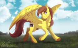 Size: 1296x809 | Tagged: safe, artist:dvixie, derpibooru import, twibooru import, oc, oc only, oc:rory kenneigh, pegasus, pony, beard, brown mane, cloud, cloudy, deleted from derpibooru, facial hair, field, nintendo, nintendo entertainment system, outdoors, ponytail, solo, standing