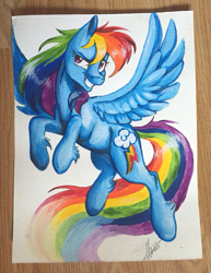 Size: 891x1156 | Tagged: safe, artist:dvixie, derpibooru import, twibooru import, rainbow dash, pegasus, pony, acrylic painting, deleted from derpibooru, solo, traditional art, unshorn fetlocks