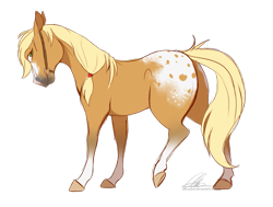 Size: 1021x771 | Tagged: dead source, safe, artist:dvixie, derpibooru import, twibooru import, applejack, earth pony, horse, pony, alternate color palette, alternate design, appaloosa, blaze (coat marking), bridle, butt freckles, coat markings, deleted from derpibooru, female, freckles, hoers, looking at you, mare, missing accessory, natural fur color, natural hair color, raised hoof, realistic, realistic anatomy, realistic horse legs, simple background, socks (coat marking), solo, tack, transparent background