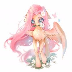 Size: 2001x1995 | Tagged: safe, artist:annie39367262, derpibooru import, fluttershy, butterfly, pegasus, pony, chest fluff, cute, ear fluff, ears, female, floppy ears, flower, flower in hair, flower in mouth, leg fluff, mare, mouth hold, raised hoof, shyabetes, simple background, solo, spread wings, stray strand, white background, wings
