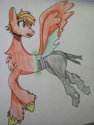 Size: 768x1022 | Tagged: safe, derpibooru import, oc, oc only, changeling, pegasus, changeling oc, pegasus oc, wings