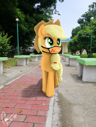 Size: 3456x4608 | Tagged: safe, artist:raphaeldavid, derpibooru import, applejack, earth pony, pony, face mask, irl, mask, photo, ponies in real life