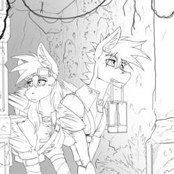 Size: 2000x2000 | Tagged: safe, artist:twotail813, derpibooru import, oc, oc only, oc:gear, oc:twotail, pegasus, black and white, brother and sister, cave, clothes, female, grayscale, male, monochrome, siblings, wings