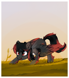 Size: 1432x1610 | Tagged: safe, artist:aureai, derpibooru import, oc, oc only, pegasus, pony, chest fluff, colored wings, colored wingtips, ear fluff, ears, grass, happy, leg fluff, male, open mouth, raffle prize, red and black oc, scenery, smiling, solo, stallion, sunset, wing fluff, wings