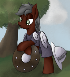 Size: 1361x1484 | Tagged: safe, artist:ahorseofcourse, ponerpics import, oc, oc only, earth pony, pony, armor, female, guardsmare, mare, royal guard, shield, solo