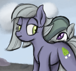 Size: 1296x1198 | Tagged: safe, artist:ahorseofcourse, ponerpics import, limestone pie, marble pie, earth pony, pony, female, mare, siblings, sisters