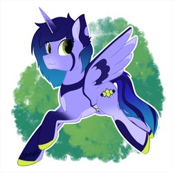 Size: 2500x2500 | Tagged: safe, artist:starlight, derpibooru import, pony, commission, fullbody