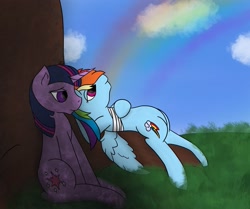 Size: 2635x2202 | Tagged: safe, artist:snow quill, derpibooru import, rainbow dash, twilight sparkle, pegasus, pony, bandage, cloud, cover art, day, grass, rainbow, sitting, story in the source, tree