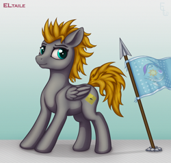 Size: 3000x2856 | Tagged: safe, artist:eltaile, derpibooru import, oc, oc:platinumdrop, pegasus, pony, equestria, flag, male, solo, spear, weapon