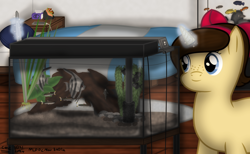 Size: 1622x999 | Tagged: safe, artist:99999999000, derpibooru import, oc, oc only, oc:mar baolin, fish, pony, unicorn, angelfish, aquarium, bed, bedroom, clownfish, phone, room, tropical fish