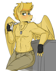 Size: 2000x2541 | Tagged: safe, artist:coatieyay, derpibooru import, oc, oc:radar burst, anthro, pegasus, abs, breath, chest fluff, chin fluff, clothes, dog tags, fingerless gloves, gloves, male, pants, partial nudity, pecs, shoulder fluff, sweat, topless, towel, workout