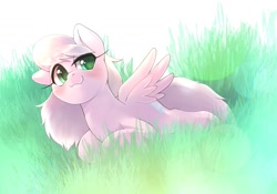 Size: 2048x1430 | Tagged: safe, artist:kurogewapony, derpibooru import, oc, oc only, oc:moff cloud, pegasus, pony, blushing, female, grass, mare, simple background, smiling, solo, spread wings, wings