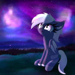 Size: 4000x4000 | Tagged: safe, artist:windy-pony, derpibooru import, oc, oc:proxi, bat pony, awestruck, bat pony oc, bat wings, clothes, ear fluff, ears, female, night, sitting, socks, solo, stars, teary eyes, wings