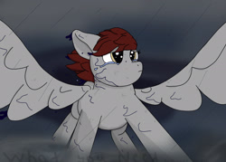 Size: 2100x1500 | Tagged: safe, artist:hemlock conium, derpibooru import, oc, oc only, pegasus, fanfic:what you need, crying, fanfic art, female, mare, rain, solo, storm