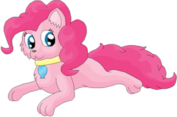 Size: 373x247 | Tagged: artist needed, source needed, safe, derpibooru import, pinkie pie, cat, cute, solo, species swap