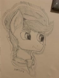 Size: 3024x4032 | Tagged: artist needed, safe, derpibooru import, oc, oc only, oc:apex soundwave, earth pony, pony, beanie, bust, clothes, frown, hat, male, monochrome, scarf, stallion, traditional art