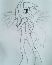 Size: 1152x1440 | Tagged: safe, artist:juliet-gwolf18, derpibooru import, oc, oc only, anthro, pegasus, unguligrade anthro, clothes, grayscale, lineart, male, monochrome, pants, pegasus oc, smiling, solo, traditional art, wings