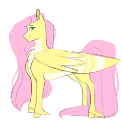 Size: 1280x1280 | Tagged: safe, artist:vintage-rec, derpibooru import, fluttershy, pegasus, pony, female, large wings, mare, no pupils, pale belly, profile, simple background, solo, unshorn fetlocks, white background, wings