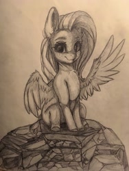 Size: 1536x2048 | Tagged: safe, artist:miokomata, derpibooru import, fluttershy, pegasus, pony, cute, female, freckles, freckleshy, grayscale, mare, monochrome, one wing out, pencil drawing, shyabetes, sitting, solo, traditional art, wings