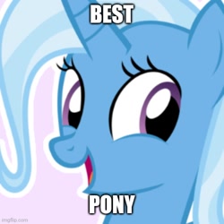 Size: 500x500 | Tagged: safe, derpibooru import, trixie, best pony, bust, captain obvious, caption, image macro, looking at you, shitposting, solo, text, truth