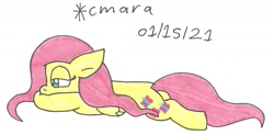 Size: 1191x585 | Tagged: safe, artist:cmara, derpibooru import, fluttershy, pegasus, pony, female, mare, simple background, solo, traditional art, white background