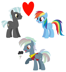 Size: 868x952 | Tagged: safe, artist:farkaska21, derpibooru import, rainbow dash, thunderlane, oc, pegasus, pony, female, male, offspring, parent:rainbow dash, parent:thunderlane, parents:thunderdash, shipping, simple background, stallion, straight, thunderdash, white background