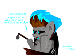 Size: 1081x768 | Tagged: safe, artist:@cameron, derpibooru exclusive, derpibooru import, oc, oc only, oc:blue flare, pegasus, pony, black sclera, bored, dialogue, folded wings, glowing mane, hoe, hoof on cheek, joke, joke oc, male, narrowed eyes, pegasus oc, pony oc, simple background, sitting, solo, stallion, talking to viewer, white background, wings