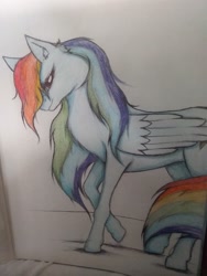 Size: 1944x2592 | Tagged: safe, artist:winterclaws22, derpibooru import, rainbow dash, pegasus, pony, paper, solo, traditional art